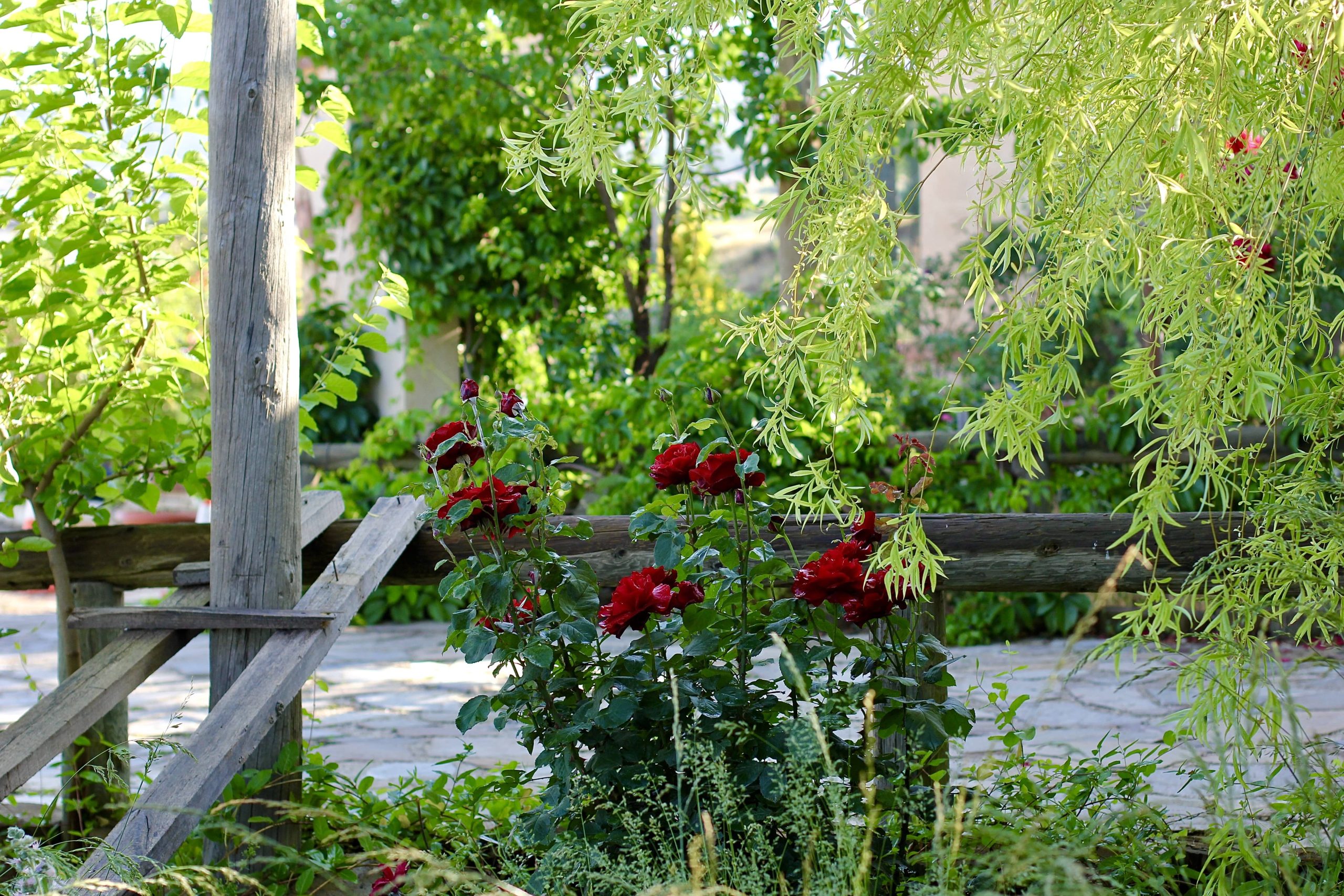 Ausgewogenheit von Hardscapes und Softscapes im Gartendesign
