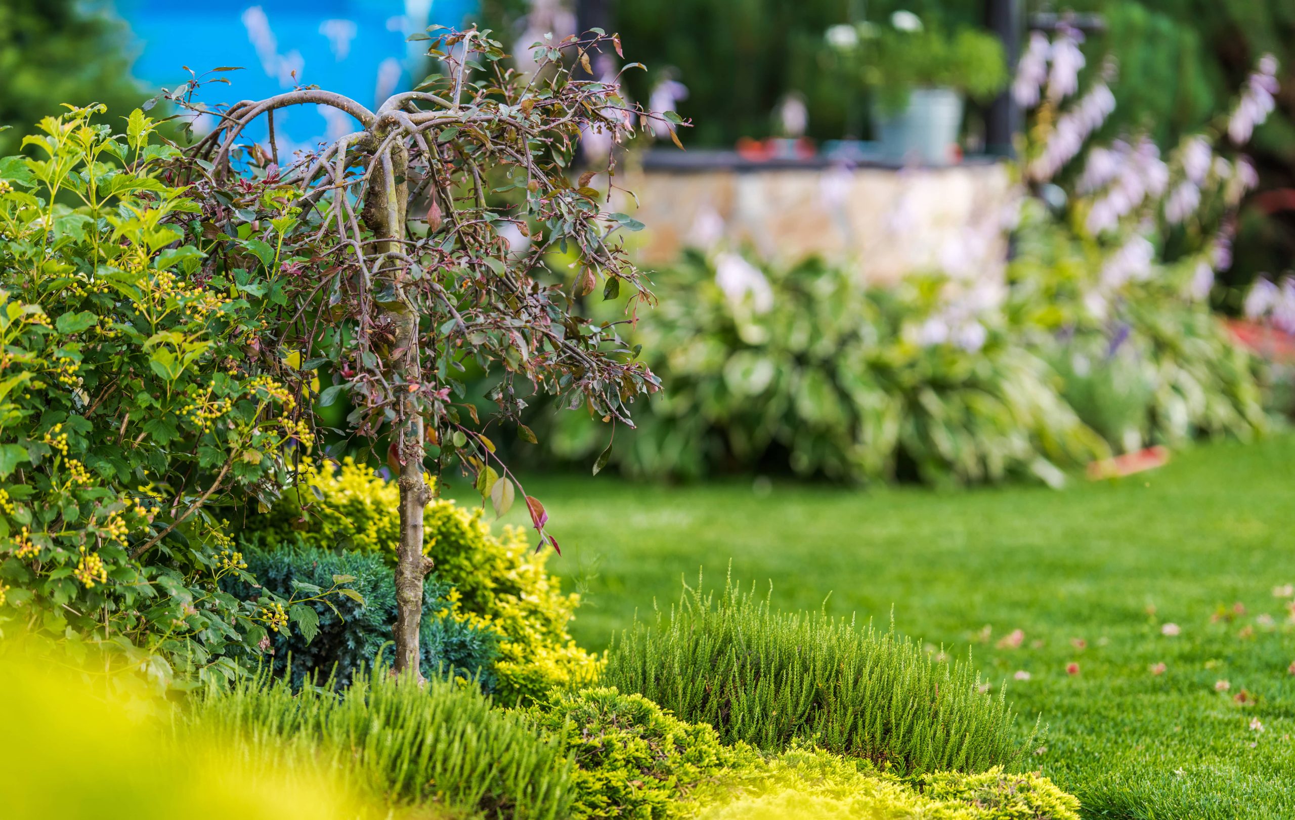 Die Essenz des minimalistischen Gartendesigns: Das Prinzip „Weniger ist mehr“ betonen