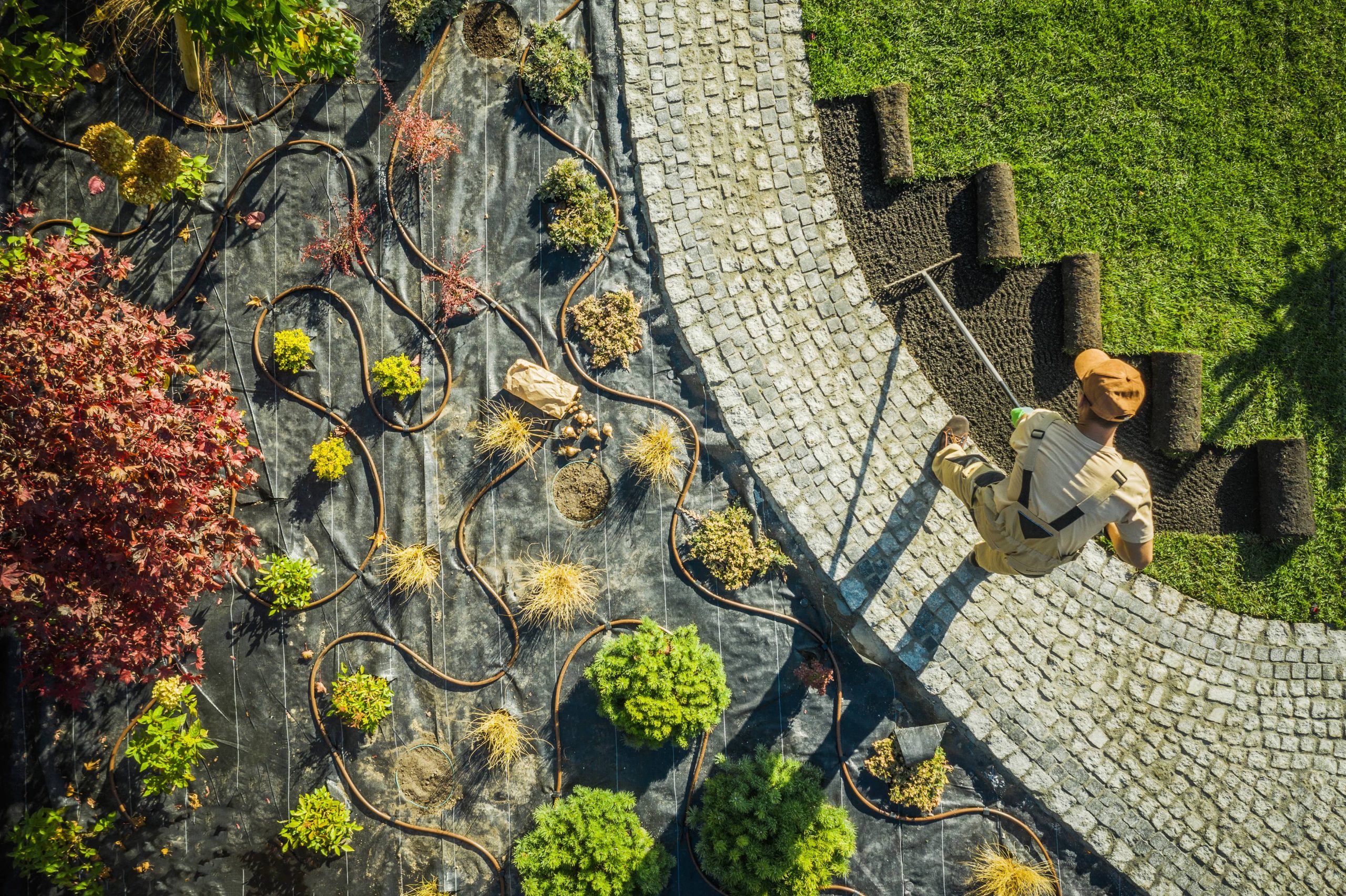 Die idealen Bäume für Schatten und Ruhe in Ihrem Garten