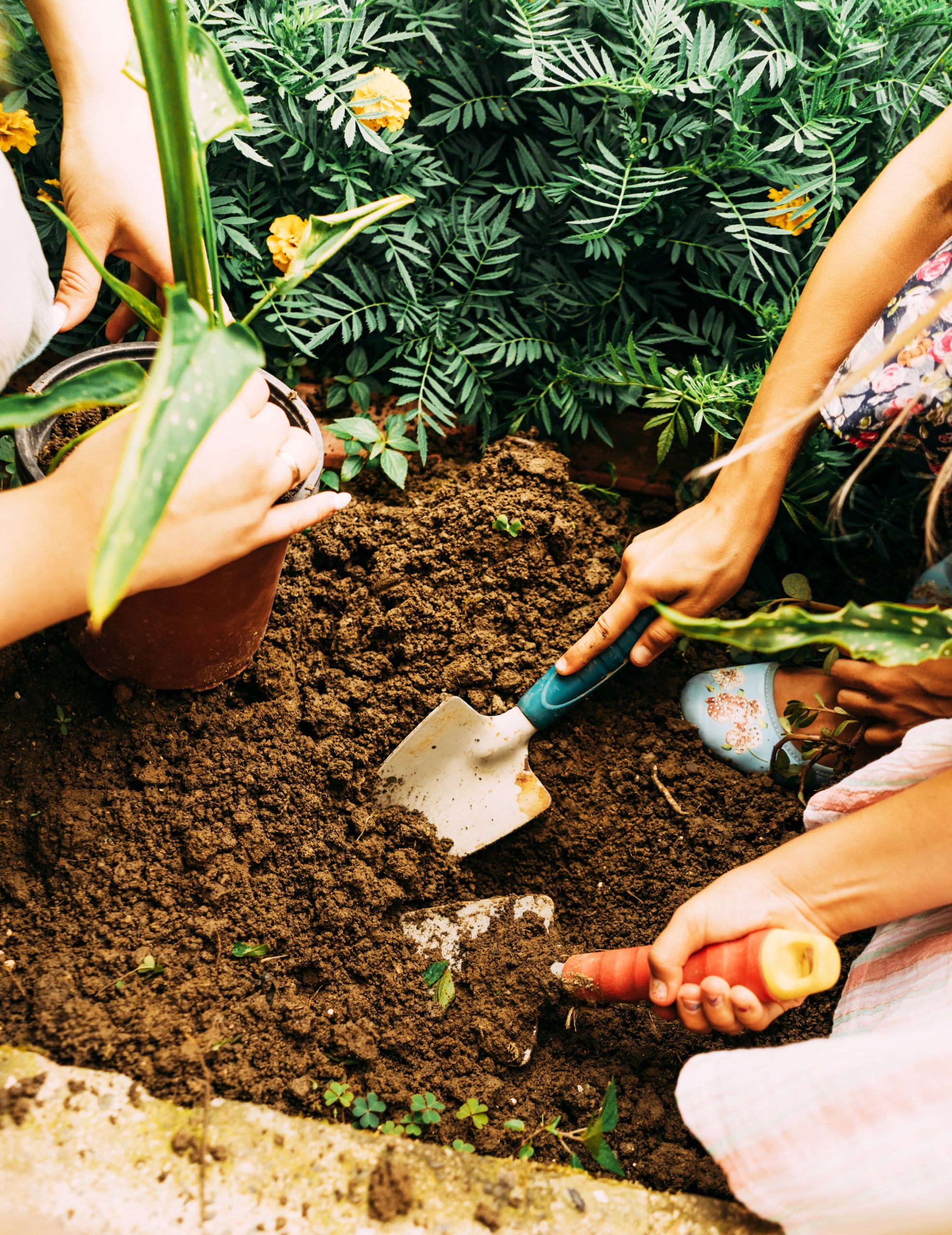 Dieser Leitfaden untersucht Materialien und Techniken zur Erstellung von DIY-Gartenwegen