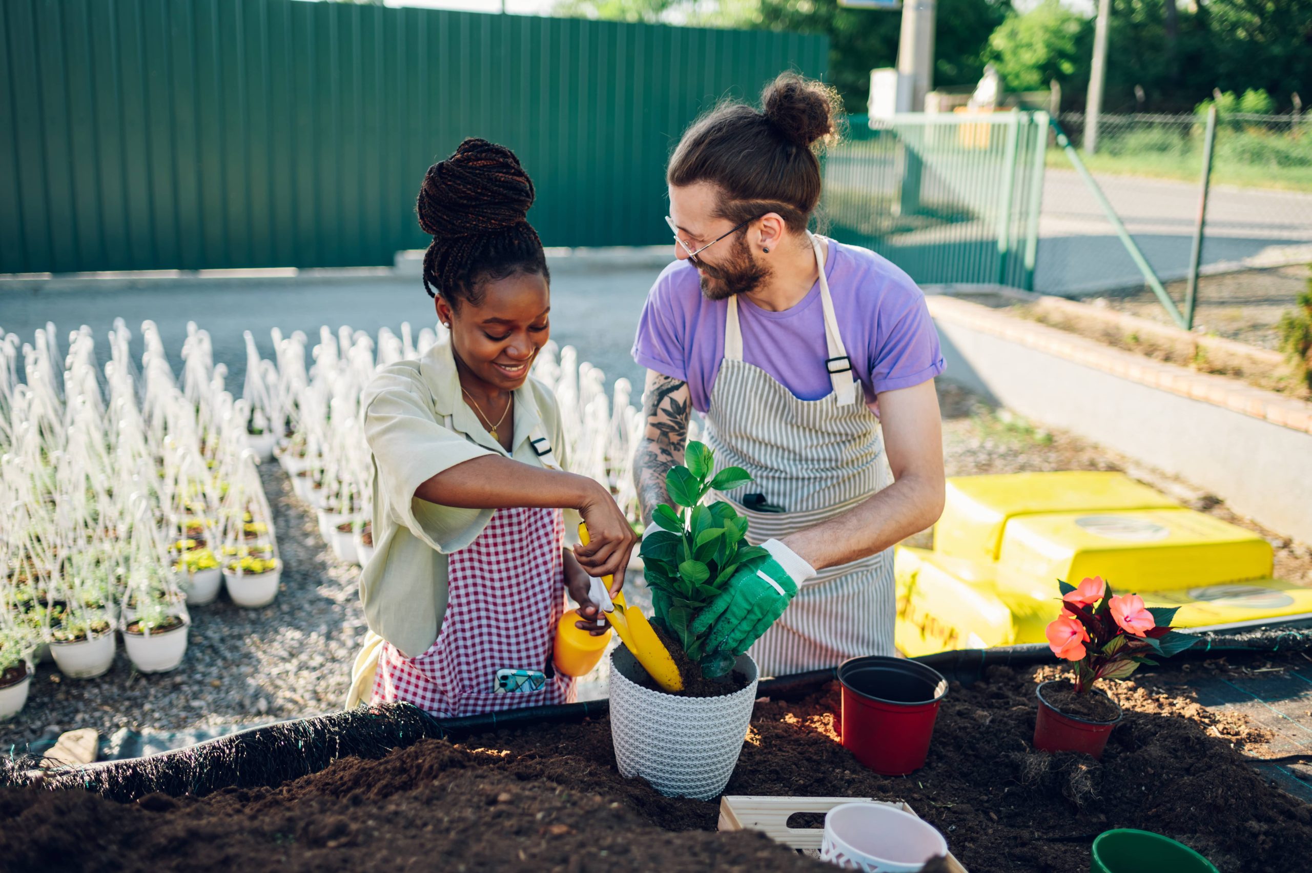 Ein DIY-Gartenspalier bietet wesentliche Unterstützung für Ihre Kletterpflanzen