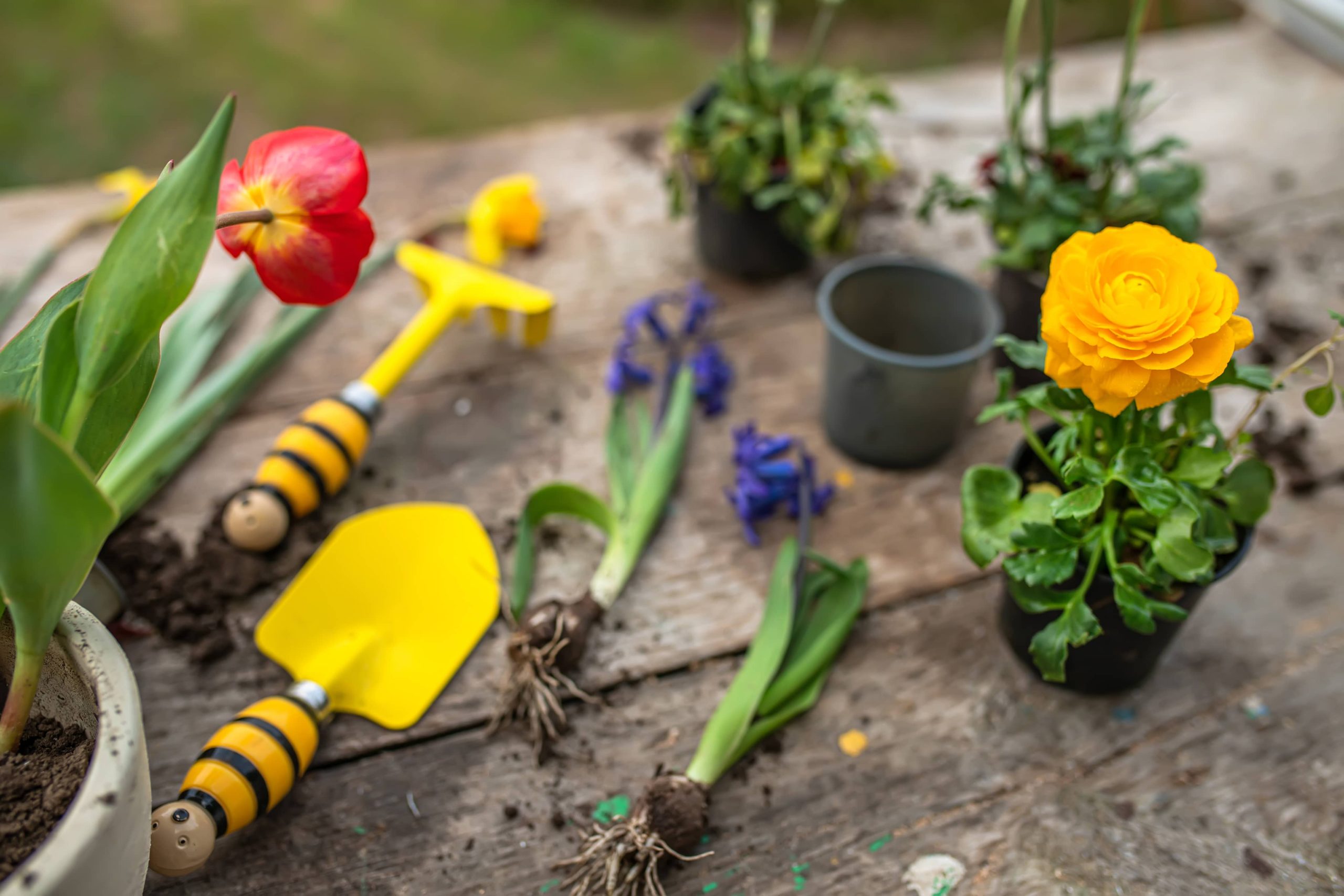 Ein DIY-Wasserspiel zu gestalten bringt beruhigende Klänge in Ihren Garten