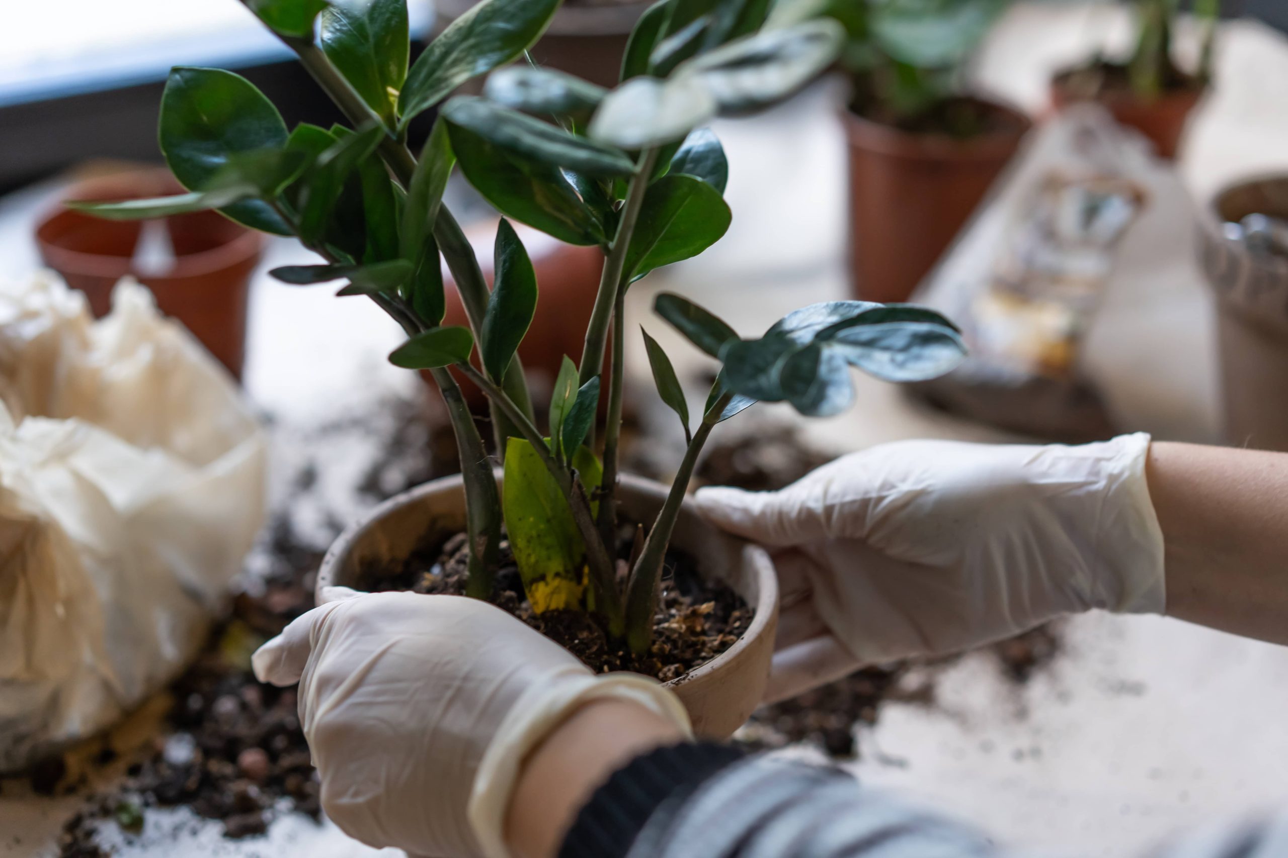 Einen Komposthaufen anlegen bringt Vorteile für Ihren Garten