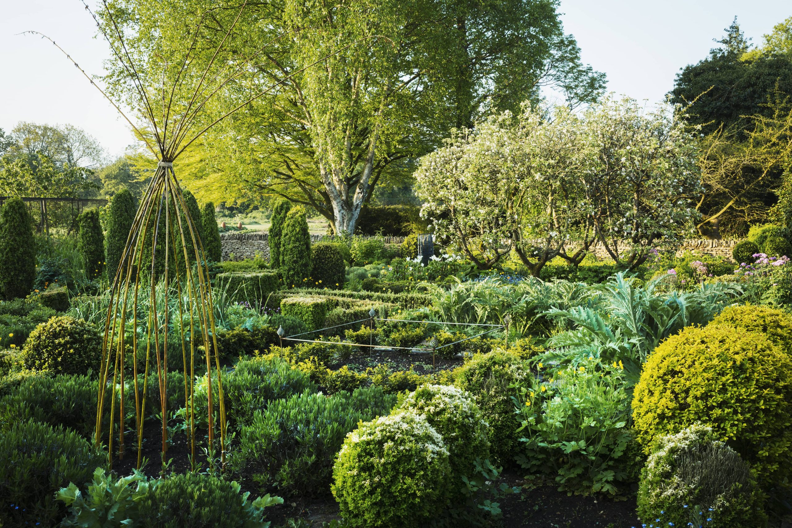 Einheimische Pflanzen integrieren schafft einen pflegeleichten, friedvollen Garten