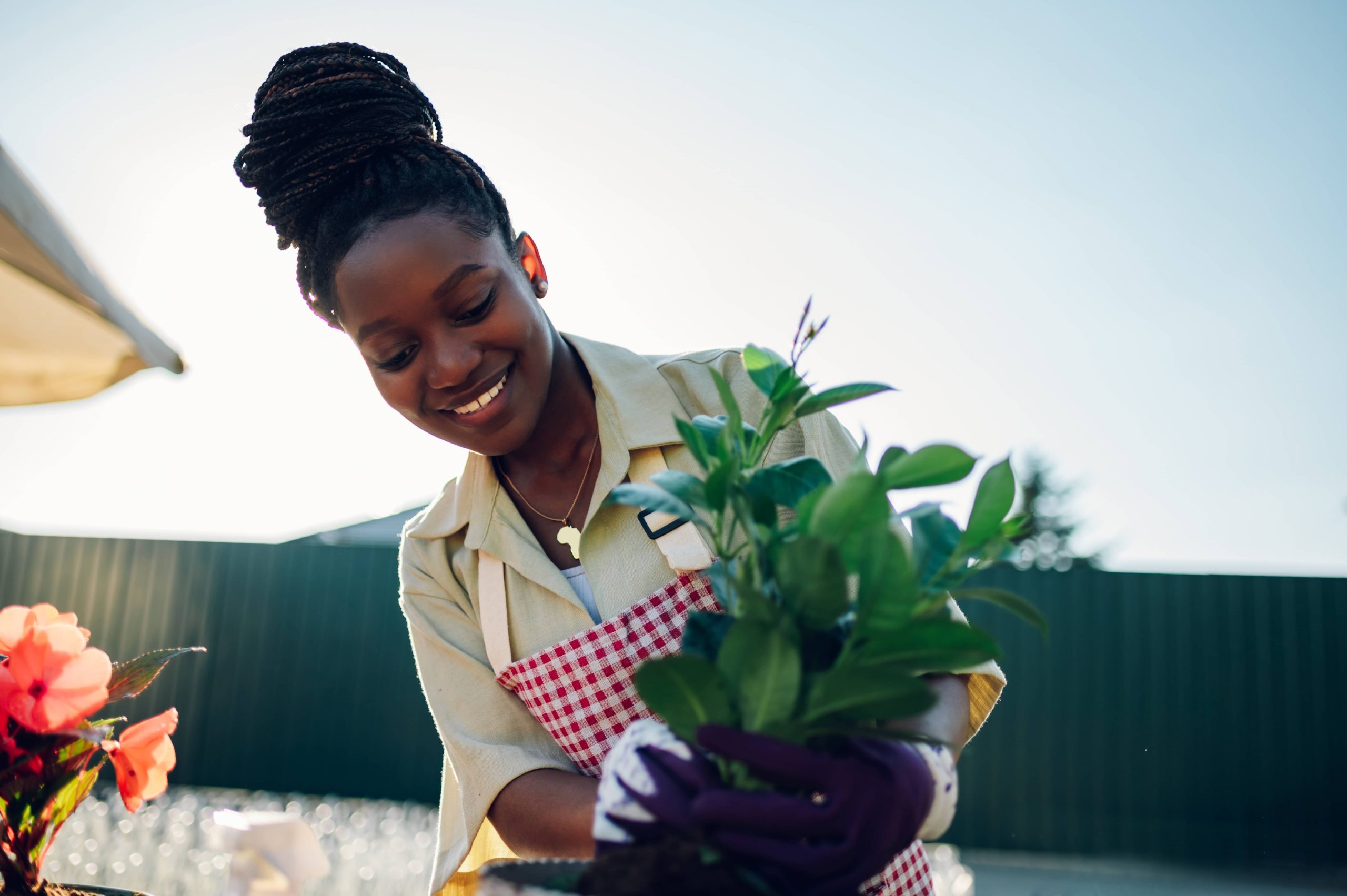 Erforschen Sie Organische Schädlingsbekämpfungsmethoden für einen Friedvollen Garten