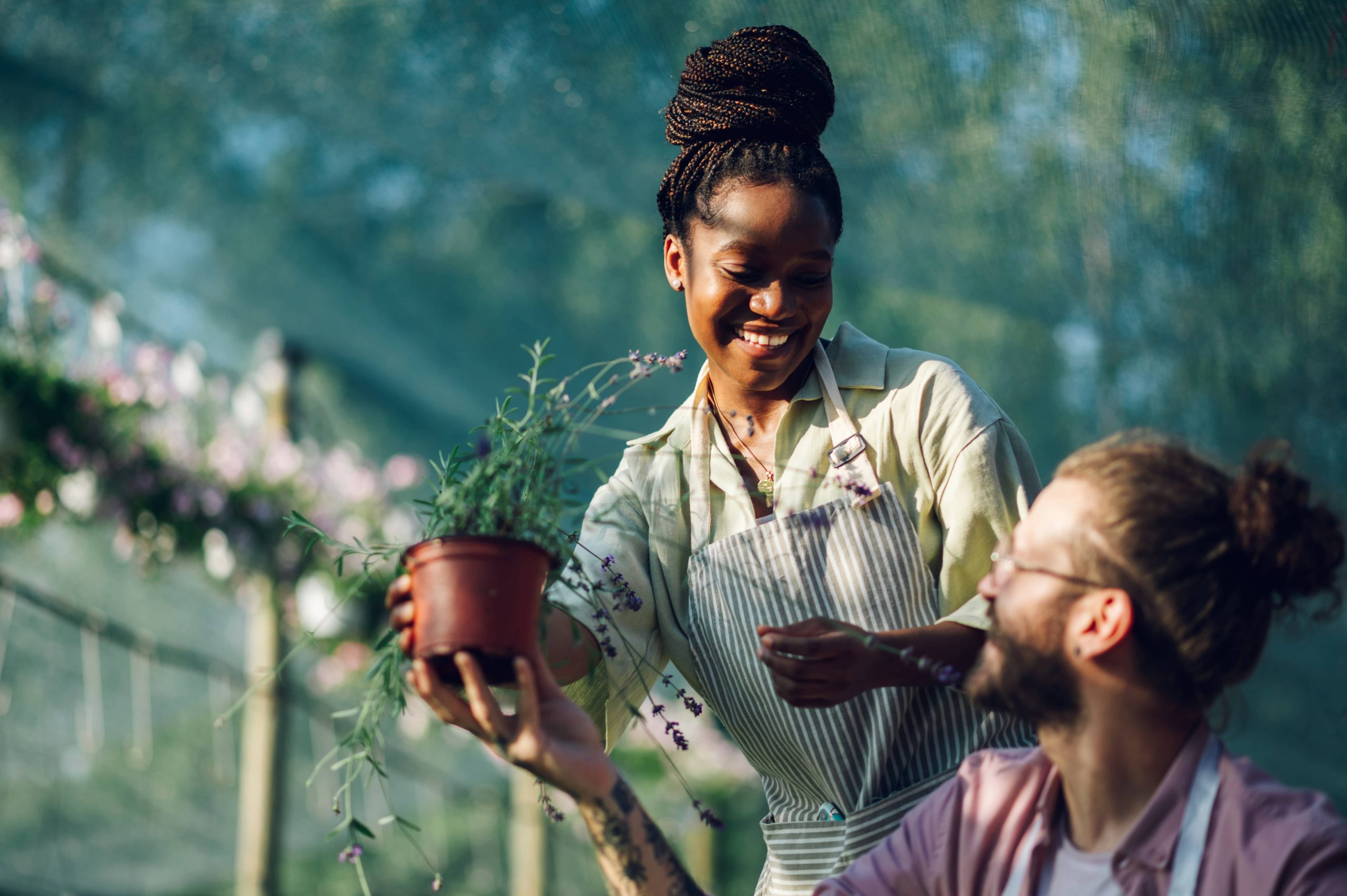 Ihr Friedlicher Garten durch Pflanzenvermehrung Erweitern