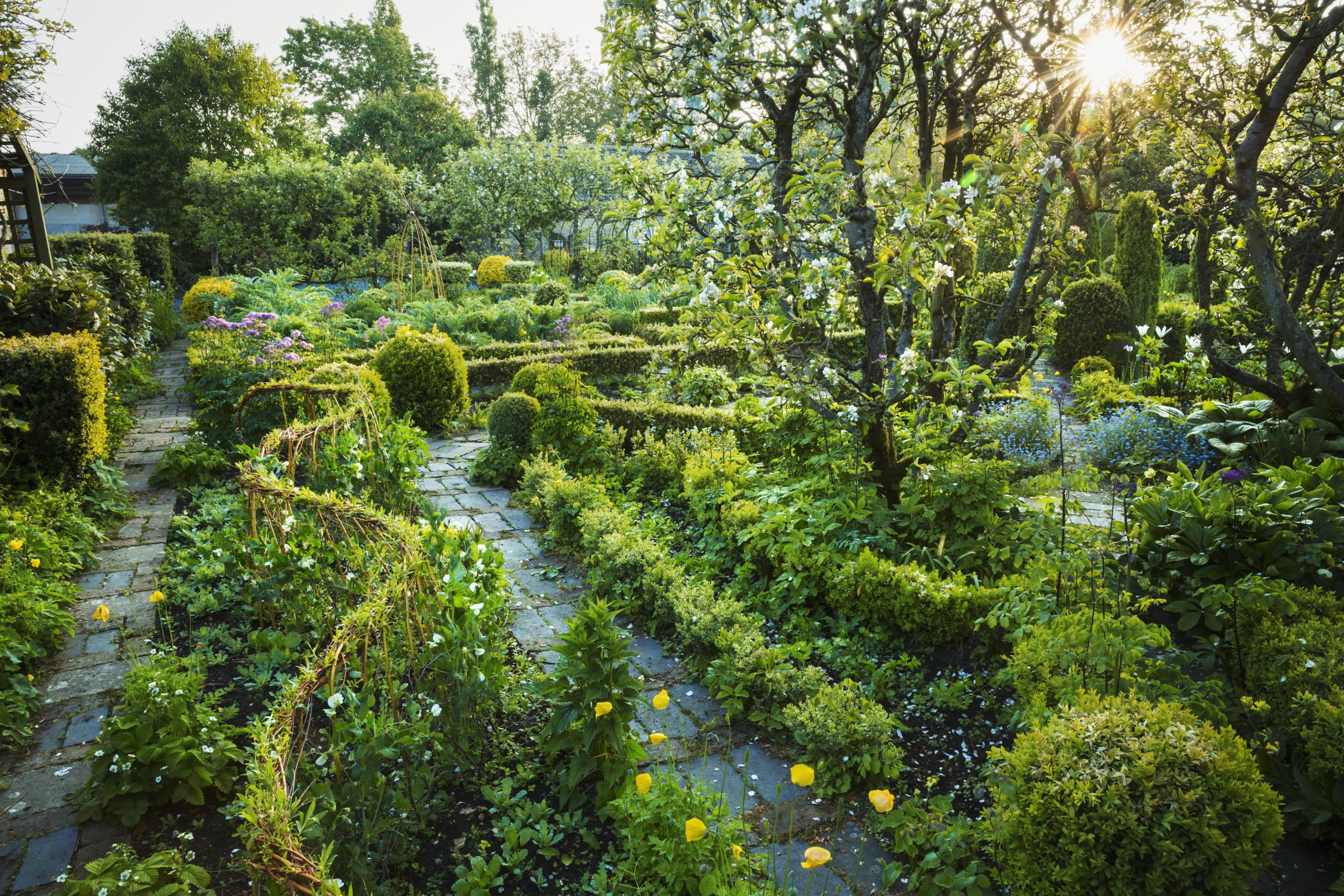 Schaffen Sie Privatsphäre in Ihrem Garten mit natürlichen Barrieren