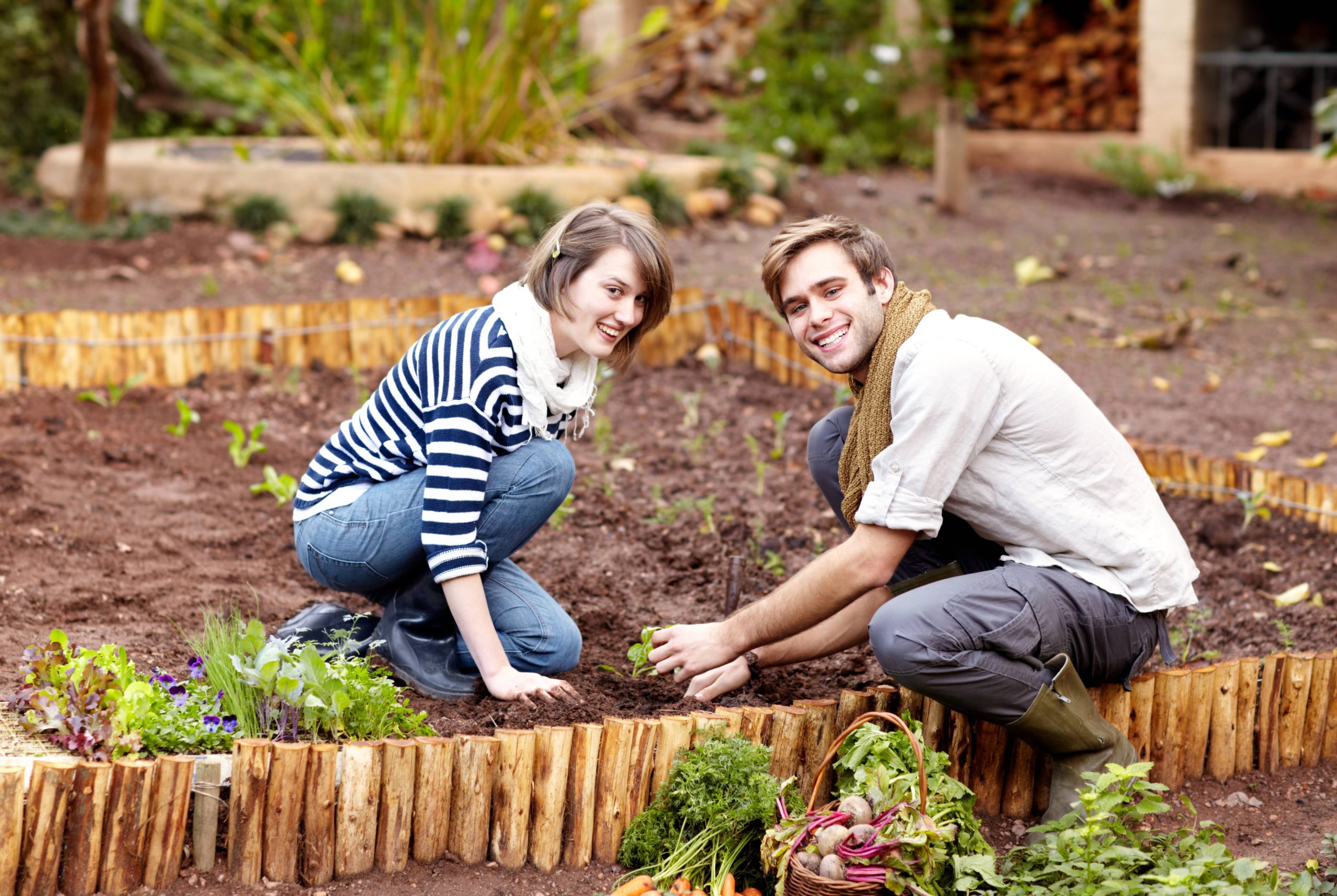 Tipps für Anfänger zur Erstellung eines DIY-Gartenteiches