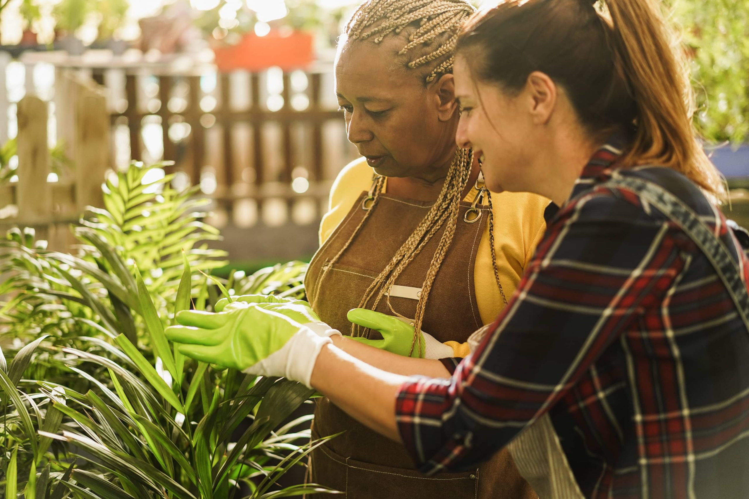 Tipps für ganzjährige Gartenschönheit durch saisonale Pflanzenpflege