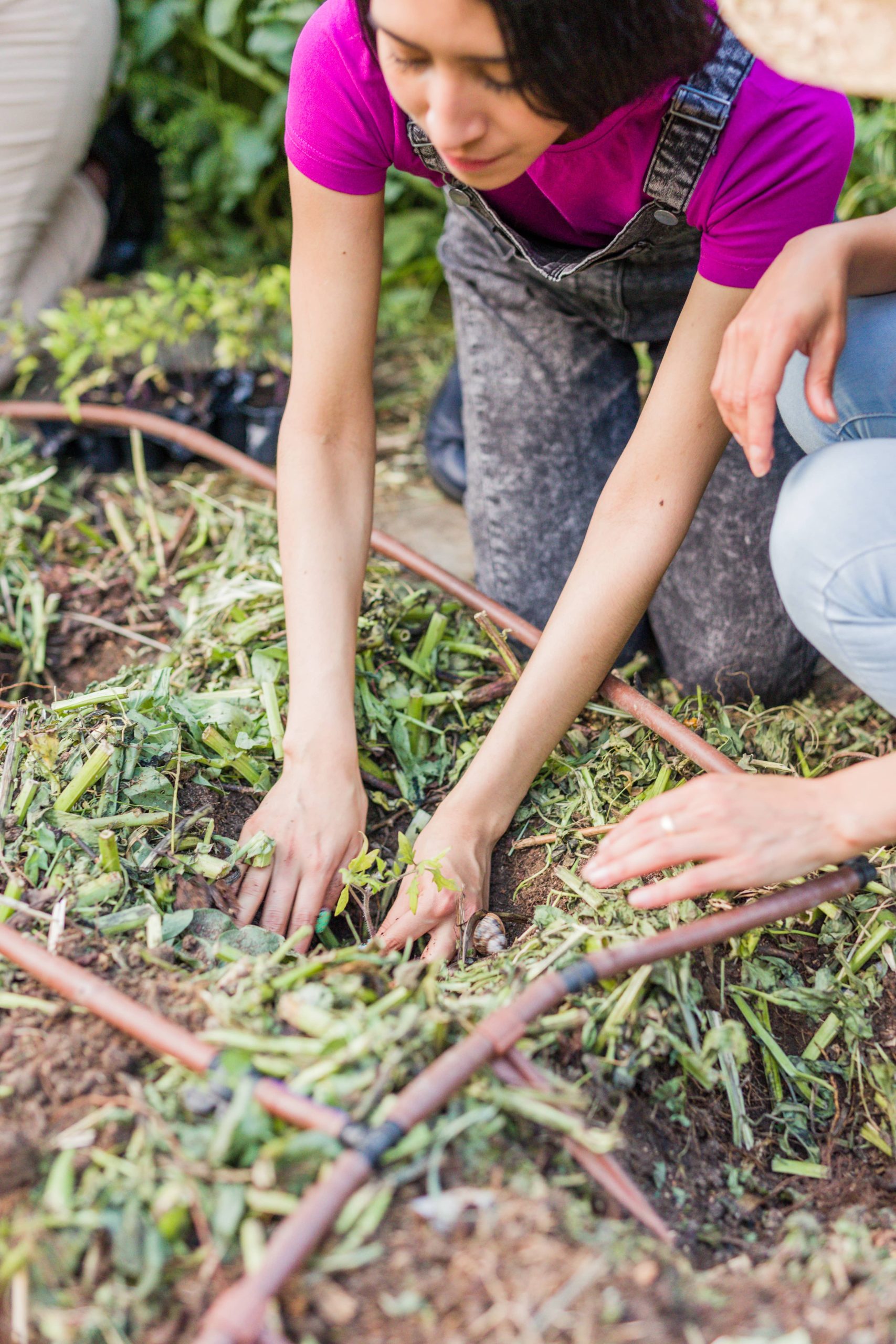 Wie man einen DIY-Außenkamin für Ihre Gartenoase baut